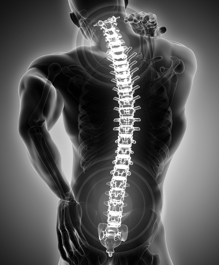 spine pain relief