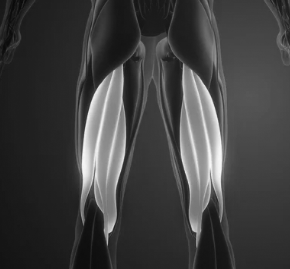 leg pain